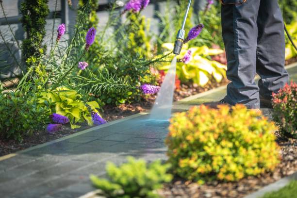 Best Sidewalk and Walkway Cleaning  in Chico, CA