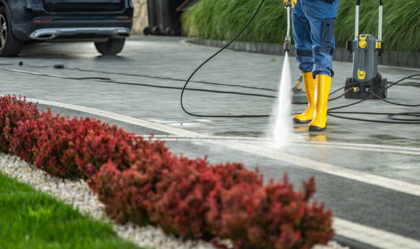 Trusted Chico, CA Pressure Washing Services Experts